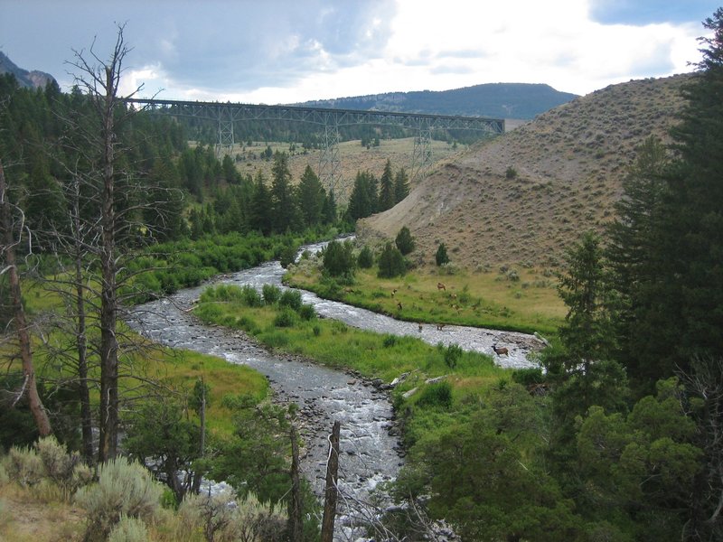 Lava Creek Trail near the confluence of Lava Creek and the Gardner River.