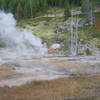 Though it's better to view the pots from above, the steam signals the presence of geothermal activity.