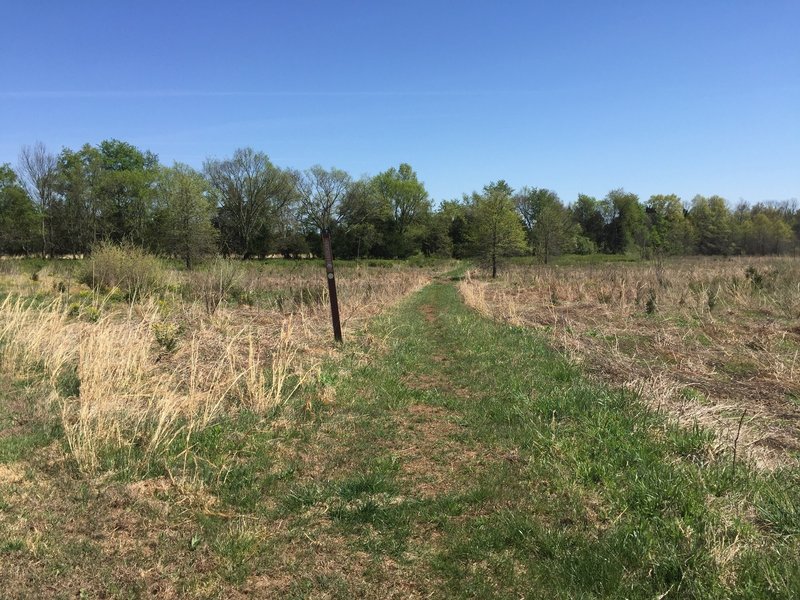 Start of the trail from the parking area.