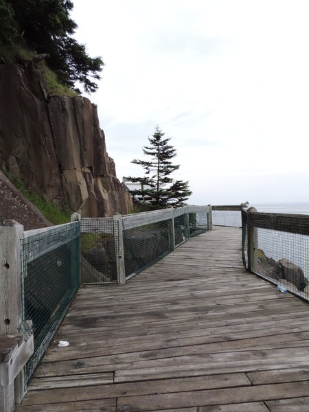 Boardwalk on the cliff side.