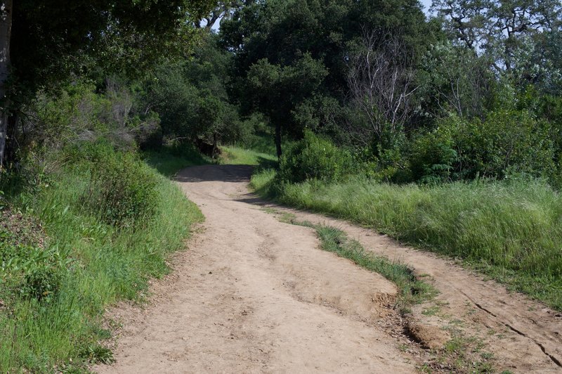 The trail rolls gently uphill. You can see erosion issues in the trail due to recent rains.