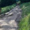 The first intersection with the Meadow Trail drops off to the left of the trail at the path continues uphill.