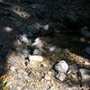 The creek crossing is easily overcome by rock hopping.