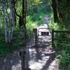 The Hamms Gulch Trail re-enters the preserve as it begins climbing away from the creek.