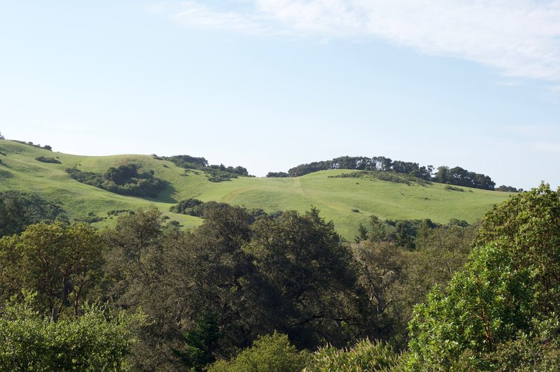 Views of Windy Hill come into view as you climb the hill.