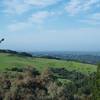 Views of the bay area and hills through the trees.