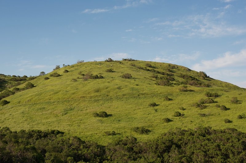 The Anniversary Trail makes its way up Windy Hill.