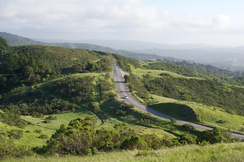 Skyline Boulevard runs just outside the preserve. If you don't want to climb to the top, you can drive to the parking lots on either side of the hill.