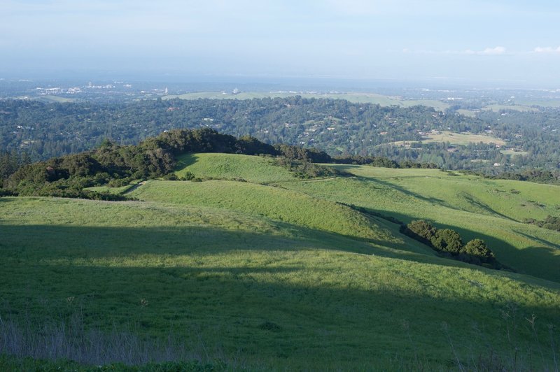 The view of the preserve and the Stanford Dish beyond.