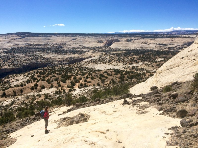 View down into Calf Creek Canyon.