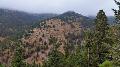 Views from Switzerland Trail.