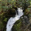 Husky Branch Falls. A nice bench awaits.