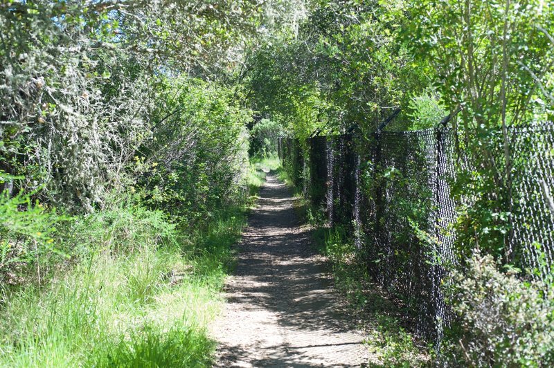 The trail drops below the road and follows a chain link fence for a short distance.