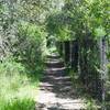 The trail drops below the road and follows a chain link fence for a short distance.