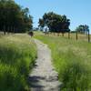 The trail climbs away from Edgewood Road as it follows the interstate for a short distance.