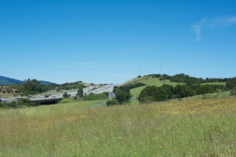 The Interstate as it makes its way North toward San Francisco.  Wildflowers bloom along the trail in the spring.