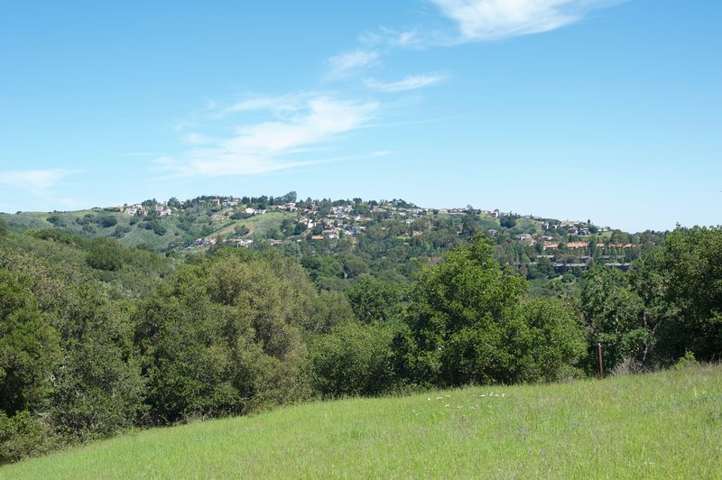 Views of the homes on the surrounding hillsides.