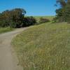 The trail as it descends along  the preserve.