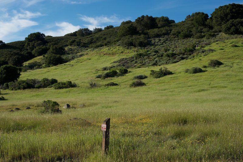 Hikers can be seen on the Ridgeview Trail, which runs parallel to the Sunset Trail on the hillside above.