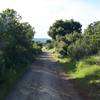 The trail enters a corridor of small shrubs and trees that block the views, but provide adequate shade at various times in the day.