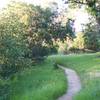 The trail narrows after it passes the Old Stage Road and approaches the Edgewood Trail.