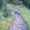 The trail gets noticeably rougher in this section.  Its hard on ankles as the trail moves uphill.