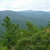 Looking out from the Brown Mountain Trail.