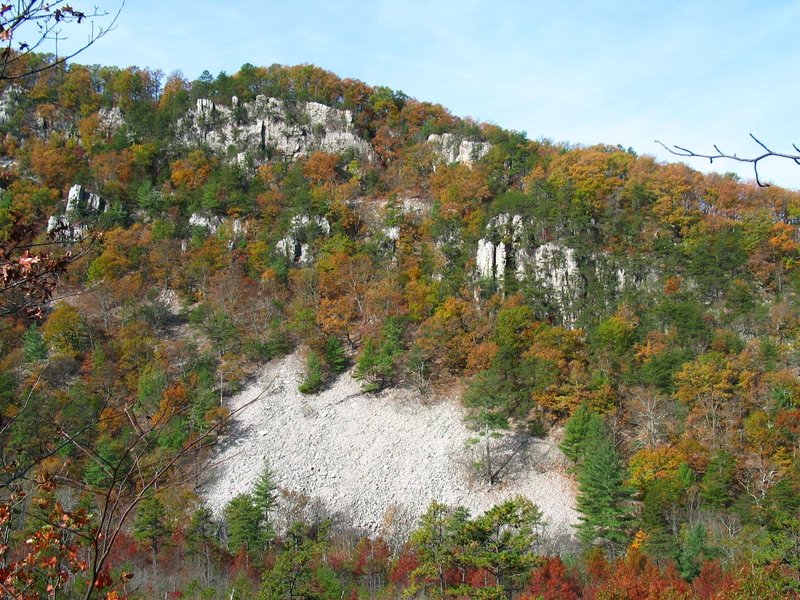 Looking toward the talus cliffs on Rockytop Mountain. with permission from rootboy