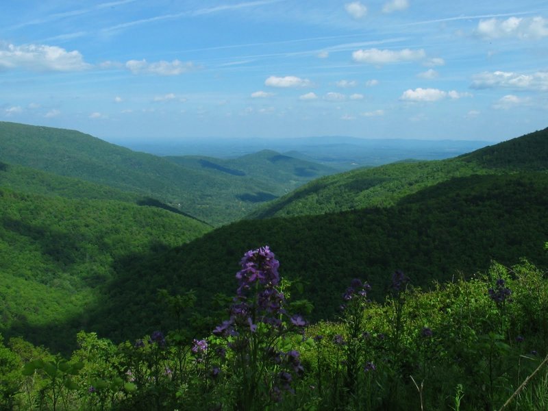 View east from Ivy Creek Overlook. with permission from rootboy