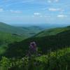 View east from Ivy Creek Overlook. with permission from rootboy