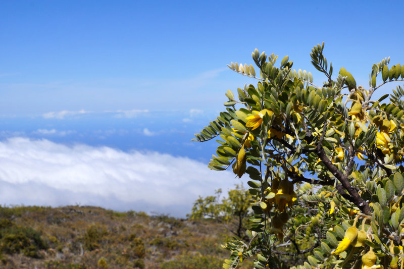 Haleakala National Park