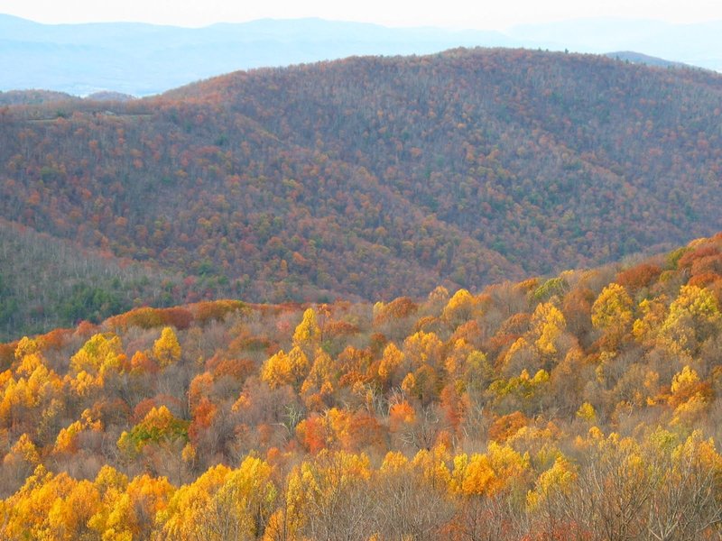 Poplar and oak from viewpoint on rocks at the top of Frazier Discovery Trail. with permission from rootboy