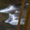 A cascade along Fiery Gizzard.