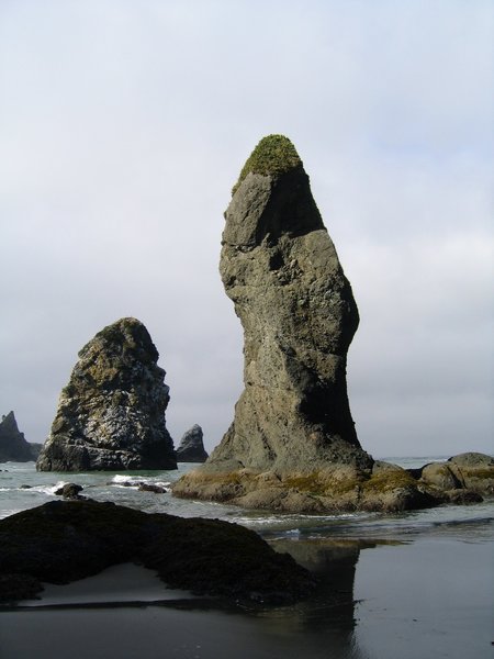 Sea stacks rising out of the water.