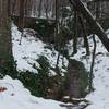 A small creek wanders just off trail.