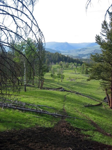 The HET heads west through beautiful meadows toward Roosevelt Lodge.