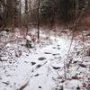 Snowy summit on Balsam Mountain.