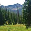 Flower-filled meadow with views of Top Notch Peak.