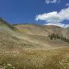 At the foot of a huge amphitheater-like bowl, the top of which is Avalanche Peak.