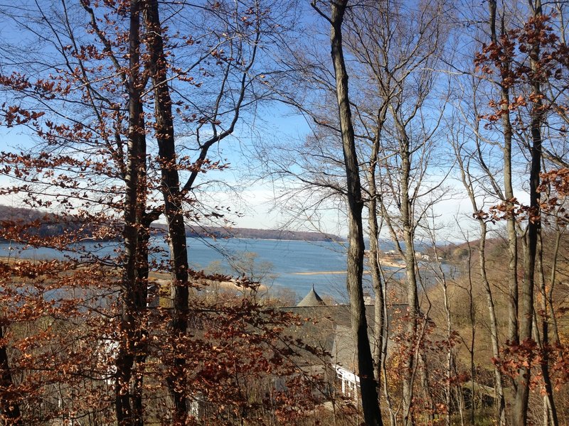 View of the harbor from behind the Cold Spring Harbor Library