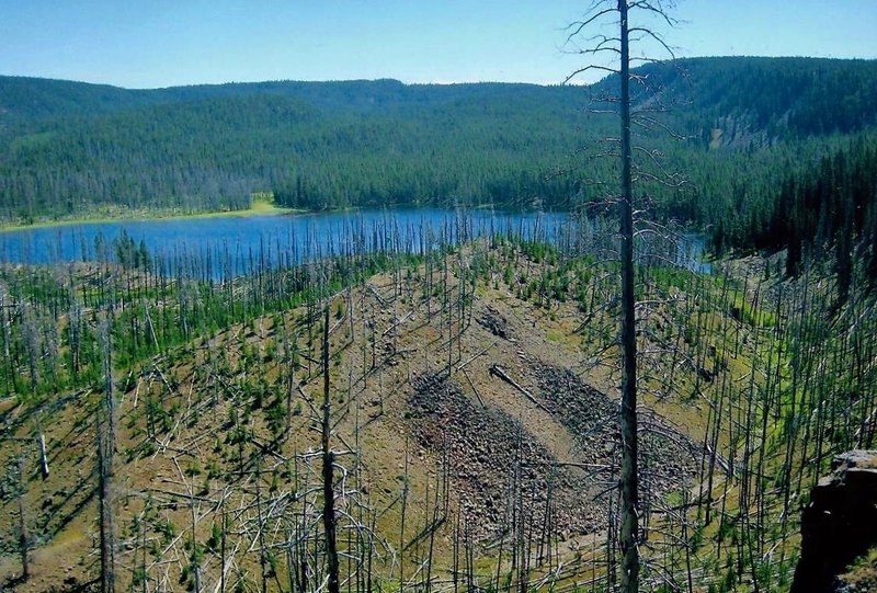 Mallard Lake lies nestled in the trees.