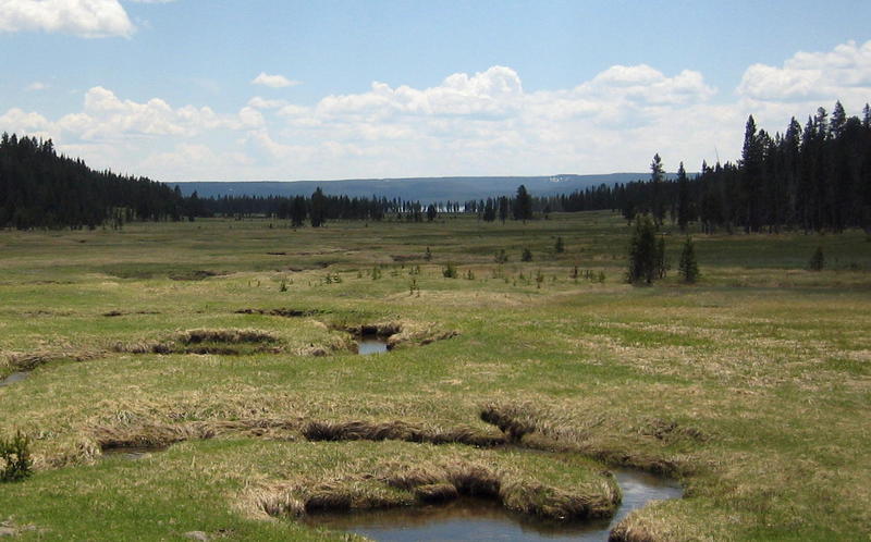 DeLacy Meadows headed to Shoshone Lake.