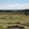 DeLacy Meadows headed to Shoshone Lake.