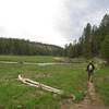 Hiking west along Nez Perce Creek.