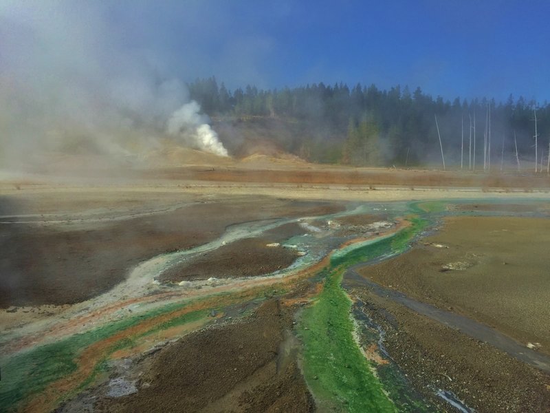 Colorful thermal runoff channels in the Porcelain Basin.