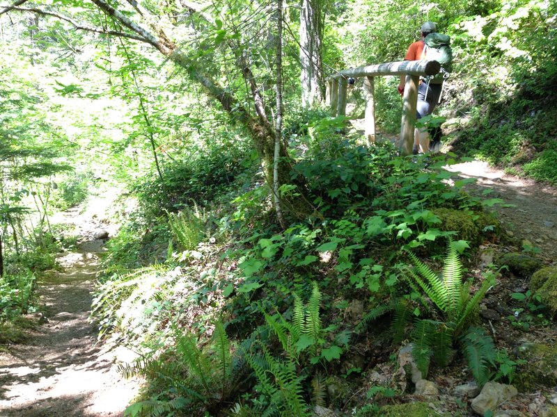 Switchback, showing one of the railed sections along the trail