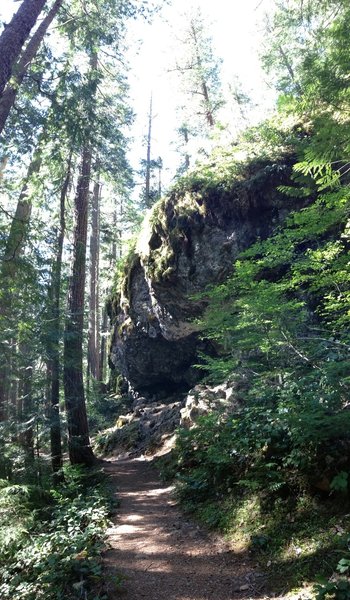 View of a giant boulder coming back down the trail, towards the parking lot.