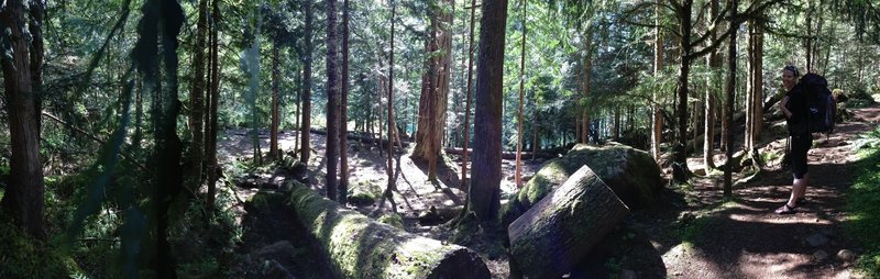 A larger (group style) campsite along the northwest side of the lake, prior to Lena Creek