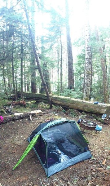 One of the hillside camp sites at the north end of the lake (not waterfront)