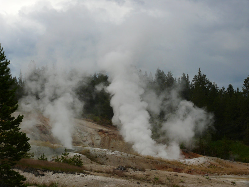 Fumaroles, Norris Geyser Basin, Yellowstone